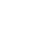 PROCESSOR